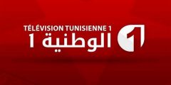 تردد قناة الوطنية التونسية الرياضية 1 الناقلة لمباراة الزمالك والترجي التونسي في نهائي البطولة العربية لكرة اليد nilesat 301