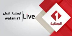 بث مباشر قناة تونس الوطنية 1 مباراة الزمالك والترجي في نهائي كرة اليد nilesat 301