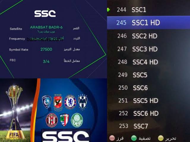 تردد قنوات SSC نايل سات لمتابعة جميع مباريات الدوري السعودي للمحترفين روشن