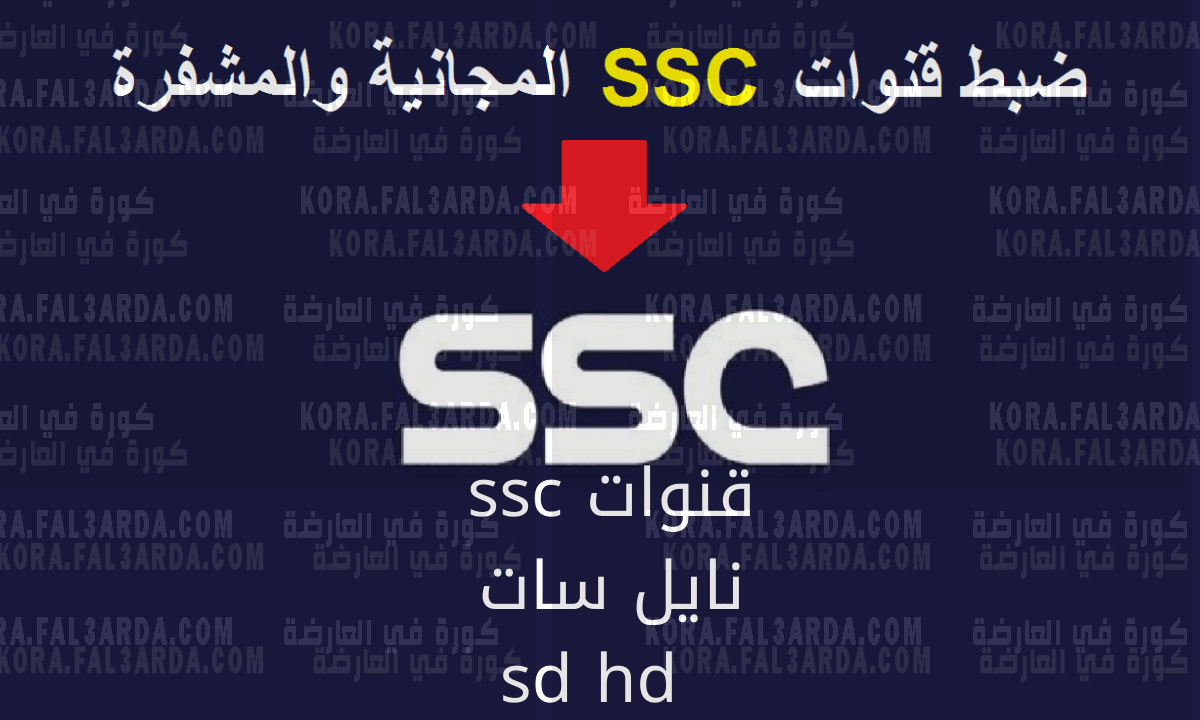 تردد قناة SSC1 المجانية نايل سات الناقلة لمباراة السعودية وكرواتيا مجاناً اليوم