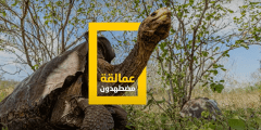 "الجديد" تردد قناة ناشيونال جيوغرافيك أبو ظبي National Geographic TV