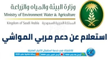 رابط الاستعلام عن دعم مربي المواشي 1444 عبر وزارة الزراعة السعودية وشروط وخطوات التسجيل