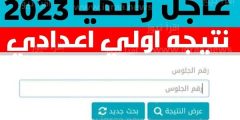الآن.. أسرع رابط الحصول على نتيجة الصف الأول الإعدادي بمحافظة القاهرة