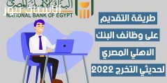 رابط التسجيل في مسابقة البنك الاهلي المصري وشروط القبول — الاستاد نيوز