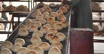 رابط دعم الخبز 2023 في الأردن