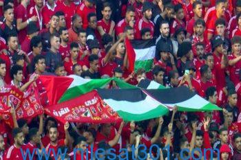 بالأعلام والهتافات.. جمهور الأهلي يدعم فلسطين في استاد القاهرة (فيديو)