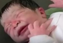 طفل فلسطينى يولد من رحم شهيدة.. ما فرص الجنين للبقاء حيا بعد وفاة الأم؟