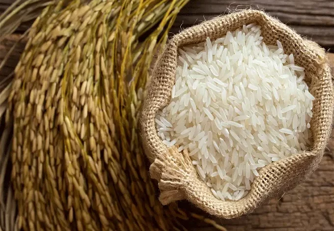 سعر الأرز الشعير اليوم في مصر الأربعاء 1 نوفمبر 2023 .. مفاجأة مفرحة للمواطنين